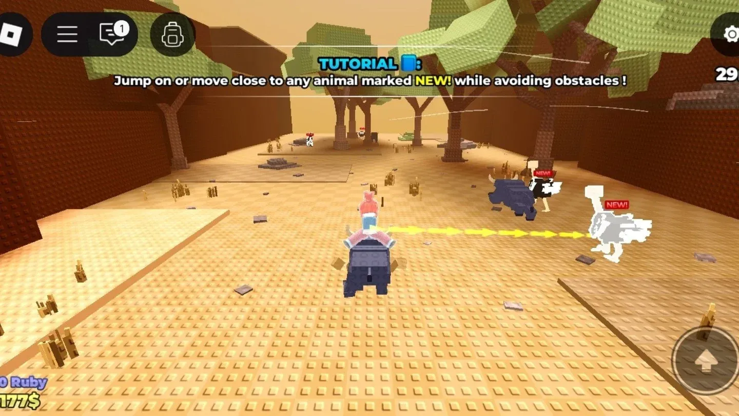 年上海合作,组织足球盛,事冬日精彩,广州赛马会,广州赛马,赛马赛事,马术资讯